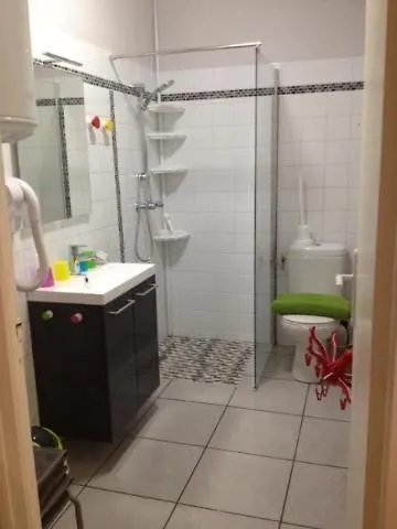 Appartement Le Logis Le Pic Du Midi à Lourdes