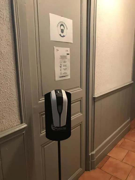 Le Logis Le Pic Du Midi Apartment Lourdes